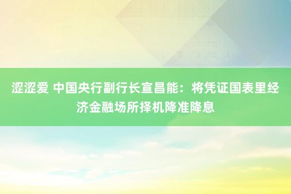 涩涩爱 中国央行副行长宣昌能：将凭证国表里经济金融场所择机降准降息