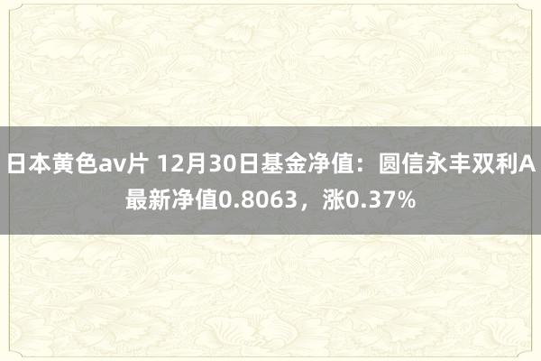 日本黄色av片 12月30日基金净值：圆信永丰双利A最新净值0.8063，涨0.37%