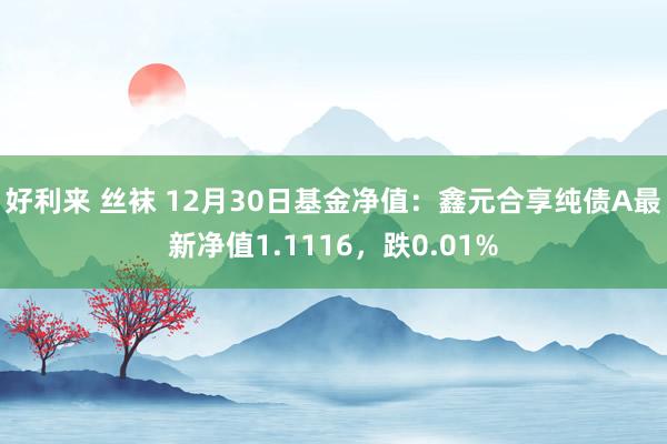 好利来 丝袜 12月30日基金净值：鑫元合享纯债A最新净值1.1116，跌0.01%