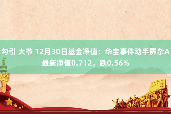 勾引 大爷 12月30日基金净值：华宝事件动手羼杂A最新净值0.712，跌0.56%