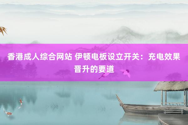 香港成人综合网站 伊顿电板设立开关：充电效果晋升的要道