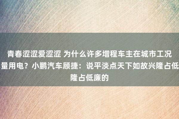 青春涩涩爱涩涩 为什么许多增程车主在城市工况也尽量用电？小鹏汽车顾捷：说平淡点天下如故兴隆占低廉的