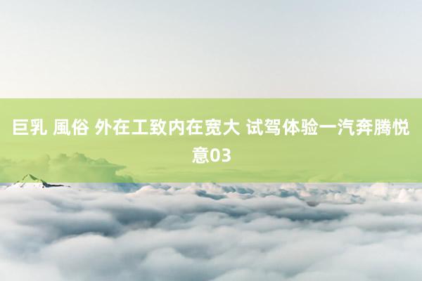 巨乳 風俗 外在工致内在宽大 试驾体验一汽奔腾悦意03