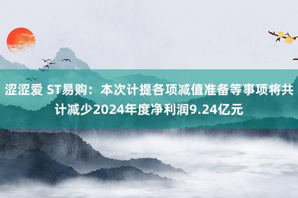 涩涩爱 ST易购：本次计提各项减值准备等事项将共计减少2024年度净利润9.24亿元