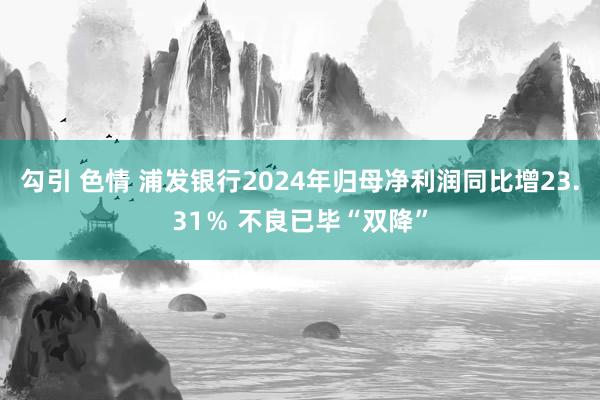 勾引 色情 浦发银行2024年归母净利润同比增23.31％ 不良已毕“双降”
