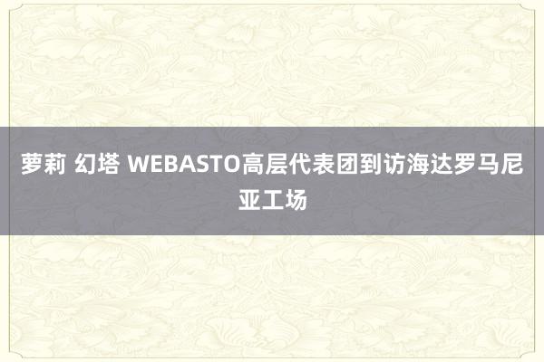 萝莉 幻塔 WEBASTO高层代表团到访海达罗马尼亚工场