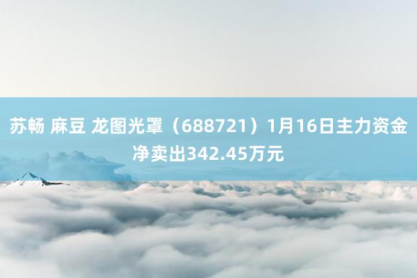 苏畅 麻豆 龙图光罩（688721）1月16日主力资金净卖出342.45万元