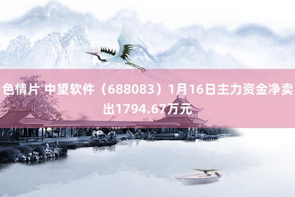 色情片 中望软件（688083）1月16日主力资金净卖出1794.67万元
