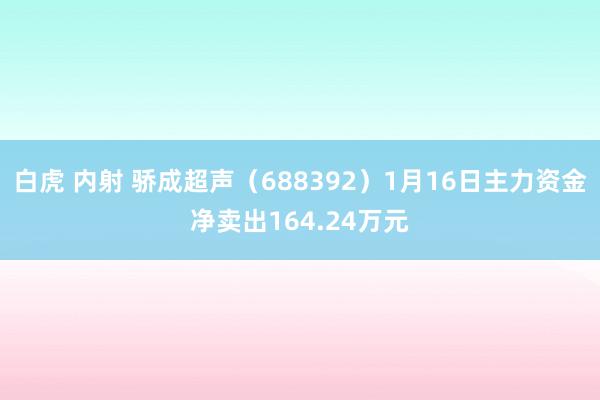 白虎 内射 骄成超声（688392）1月16日主力资金净卖出164.24万元