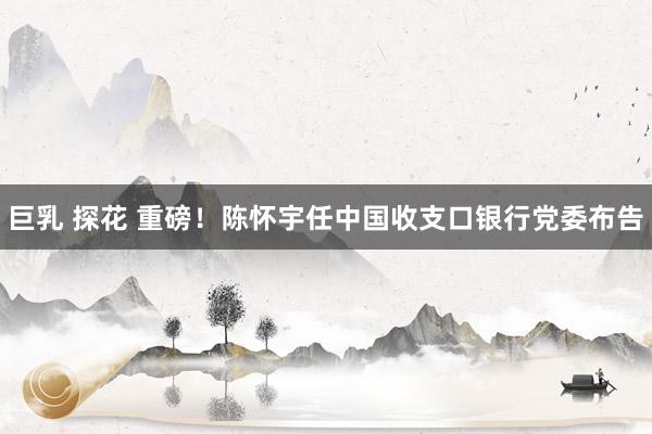 巨乳 探花 重磅！陈怀宇任中国收支口银行党委布告