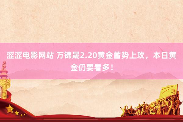 涩涩电影网站 万锦晟2.20黄金蓄势上攻，本日黄金仍要看多！