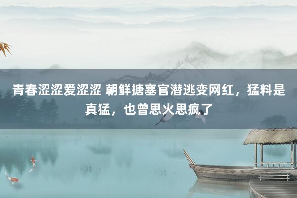 青春涩涩爱涩涩 朝鲜搪塞官潜逃变网红，猛料是真猛，也曾思火思疯了