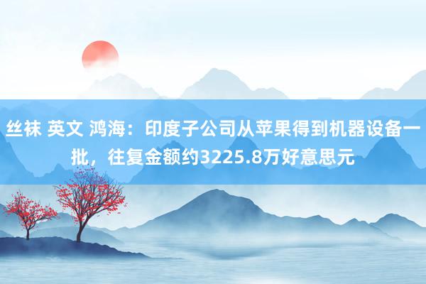 丝袜 英文 鸿海：印度子公司从苹果得到机器设备一批，往复金额约3225.8万好意思元