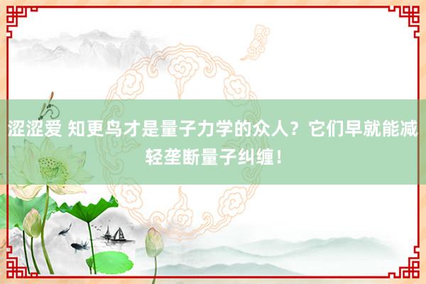 涩涩爱 知更鸟才是量子力学的众人？它们早就能减轻垄断量子纠缠！