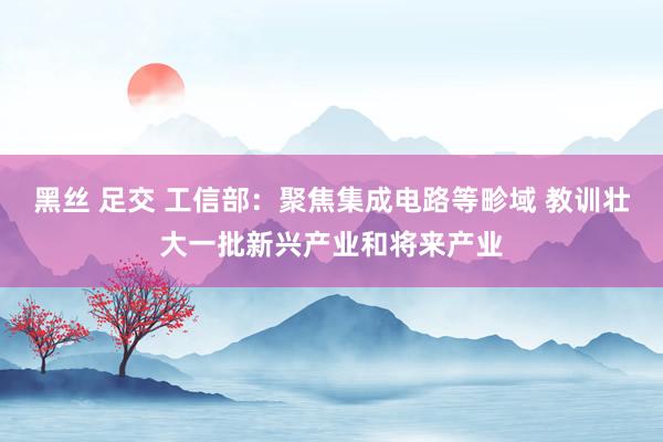 黑丝 足交 工信部：聚焦集成电路等畛域 教训壮大一批新兴产业和将来产业