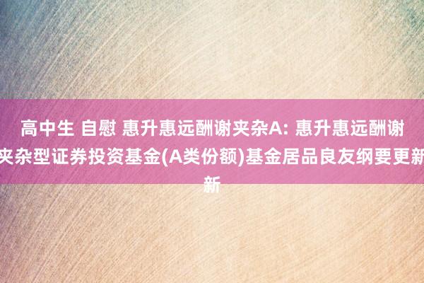 高中生 自慰 惠升惠远酬谢夹杂A: 惠升惠远酬谢夹杂型证券投资基金(A类份额)基金居品良友纲要更新