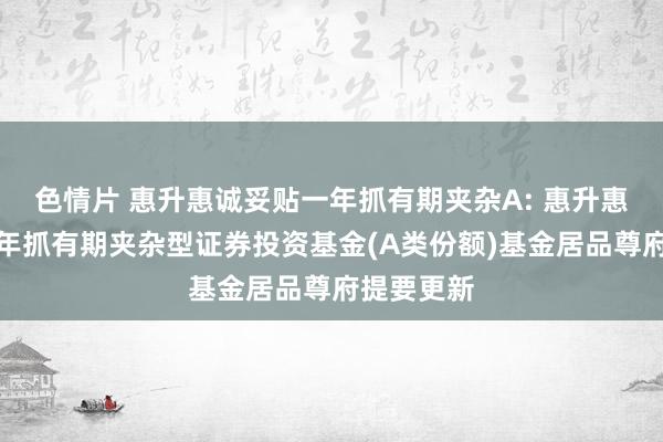 色情片 惠升惠诚妥贴一年抓有期夹杂A: 惠升惠诚妥贴一年抓有期夹杂型证券投资基金(A类份额)基金居品尊府提要更新