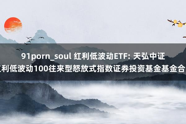 91porn_soul 红利低波动ETF: 天弘中证红利低波动100往来型怒放式指数证券投资基金基金合同