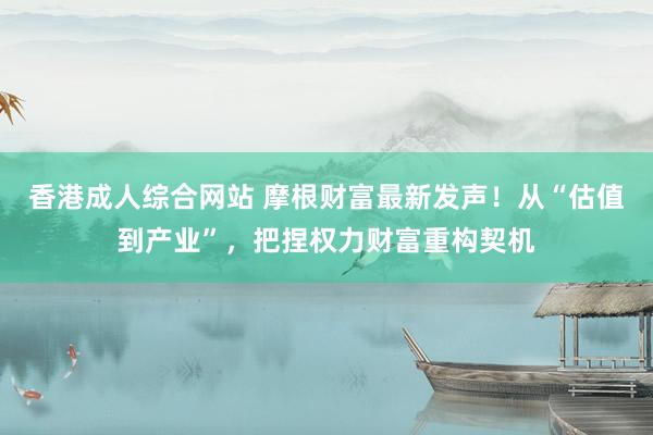 香港成人综合网站 摩根财富最新发声！从“估值到产业”，把捏权力财富重构契机