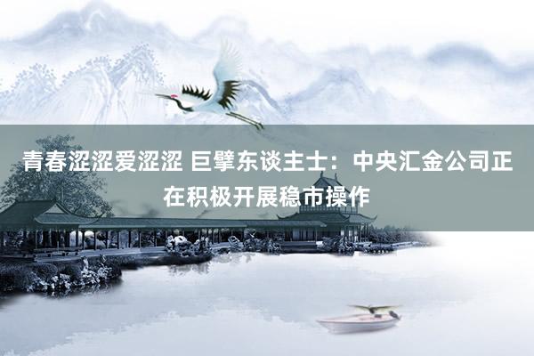 青春涩涩爱涩涩 巨擘东谈主士：中央汇金公司正在积极开展稳市操作