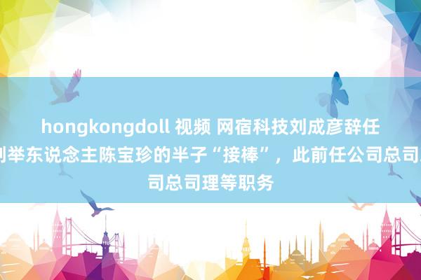 hongkongdoll 视频 网宿科技刘成彦辞任董事长 创举东说念主陈宝珍的半子“接棒”，此前任公司总司理等职务