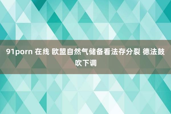 91porn 在线 欧盟自然气储备看法存分裂 德法鼓吹下调