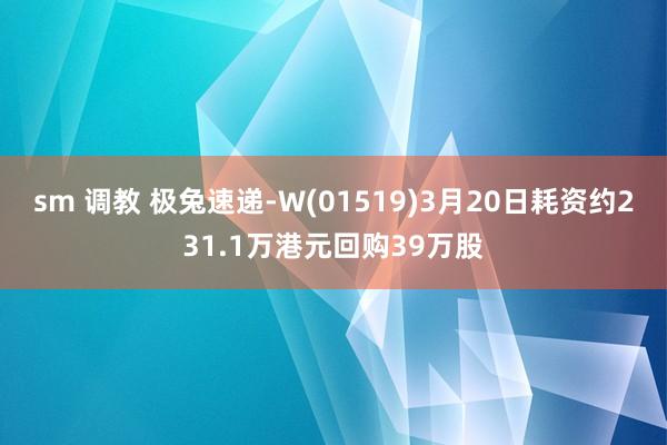sm 调教 极兔速递-W(01519)3月20日耗资约231.1万港元回购39万股