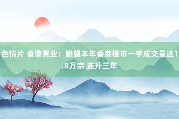 色情片 香港置业：瞻望本年香港楼市一手成交量达1.8万宗 连升三年