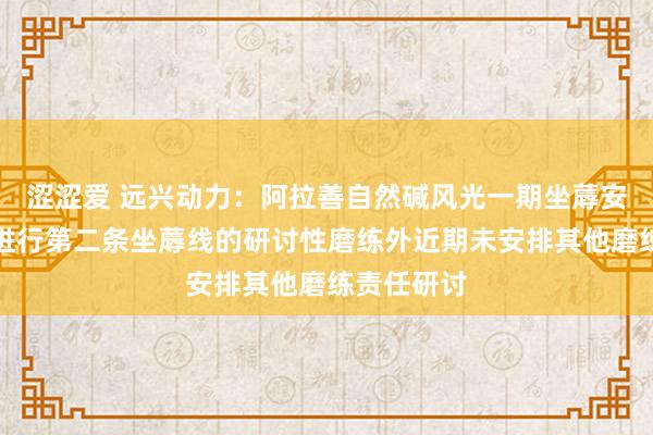 涩涩爱 远兴动力：阿拉善自然碱风光一期坐蓐安装除正在进行第二条坐蓐线的研讨性磨练外近期未安排其他磨练责任研讨