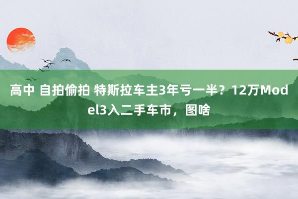 高中 自拍偷拍 特斯拉车主3年亏一半？12万Model3入二手车市，图啥