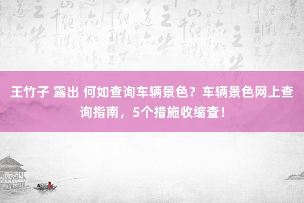 王竹子 露出 何如查询车辆景色？车辆景色网上查询指南，5个措施收缩查！