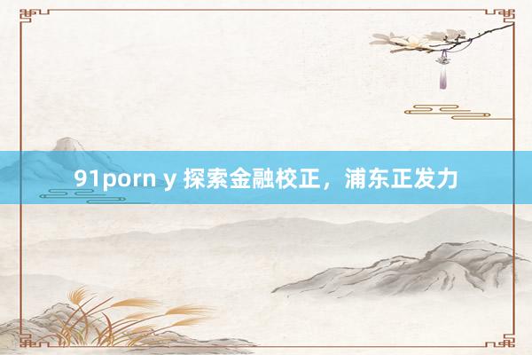 91porn y 探索金融校正，浦东正发力