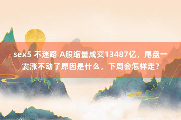sex5 不迷路 A股缩量成交13487亿，尾盘一霎涨不动了原因是什么，下周会怎样走？