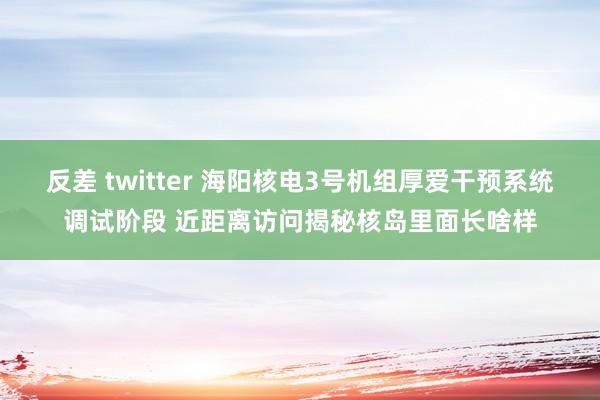 反差 twitter 海阳核电3号机组厚爱干预系统调试阶段 近距离访问揭秘核岛里面长啥样