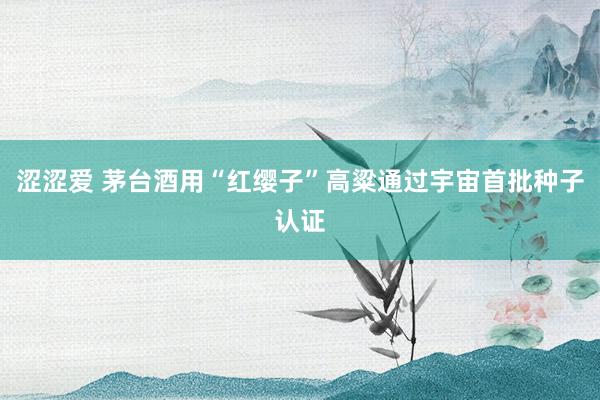 涩涩爱 茅台酒用“红缨子”高粱通过宇宙首批种子认证