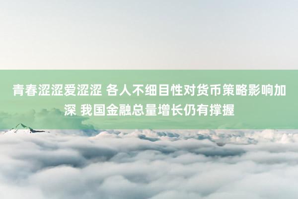 青春涩涩爱涩涩 各人不细目性对货币策略影响加深 我国金融总量增长仍有撑握