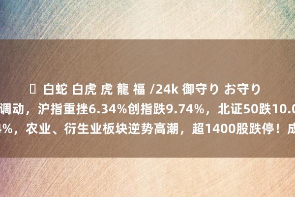 ✨白蛇 白虎 虎 龍 福 /24k 御守り お守り A股午评：三大指数大幅调动，沪指重挫6.34%创指跌9.74%，北证50跌10.04%，农业、衍生业板块逆势高潮，超1400股跌停！成交10892亿放量3429亿