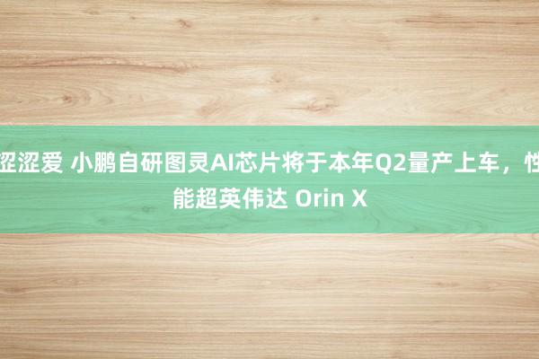 涩涩爱 小鹏自研图灵AI芯片将于本年Q2量产上车，性能超英伟达 Orin X