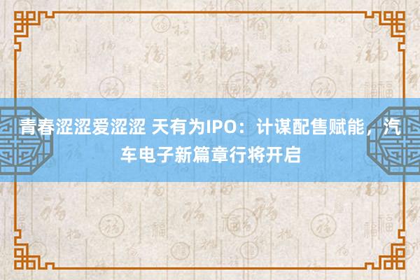 青春涩涩爱涩涩 天有为IPO：计谋配售赋能，汽车电子新篇章行将开启