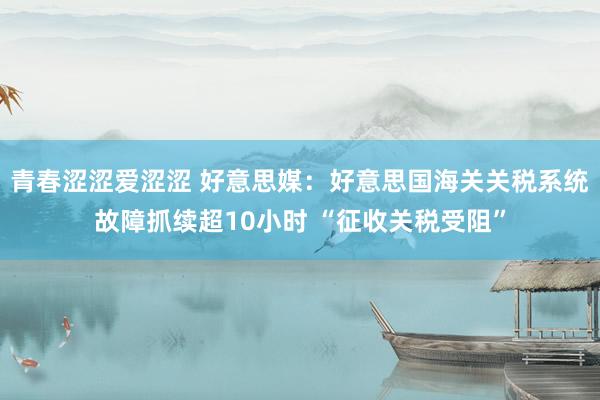 青春涩涩爱涩涩 好意思媒：好意思国海关关税系统故障抓续超10小时 “征收关税受阻”