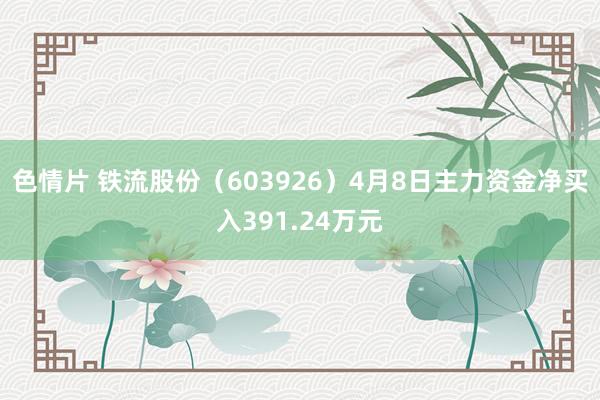 色情片 铁流股份（603926）4月8日主力资金净买入391.24万元