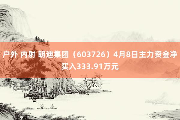户外 内射 朗迪集团（603726）4月8日主力资金净买入333.91万元
