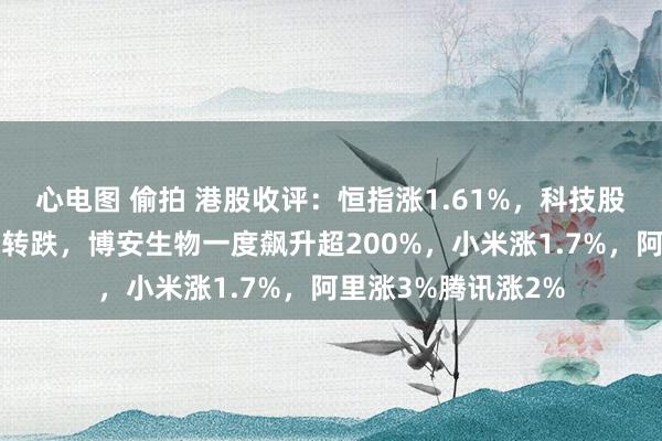 心电图 偷拍 港股收评：恒指涨1.61%，科技股回暖，黄金股跳水转跌，博安生物一度飙升超200%，小米涨1.7%，阿里涨3%腾讯涨2%