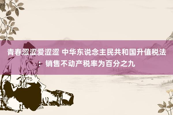 青春涩涩爱涩涩 中华东说念主民共和国升值税法：销售不动产税率为百分之九