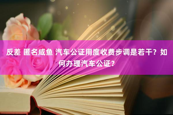 反差 匿名咸鱼 汽车公证用度收费步调是若干？如何办理汽车公证？