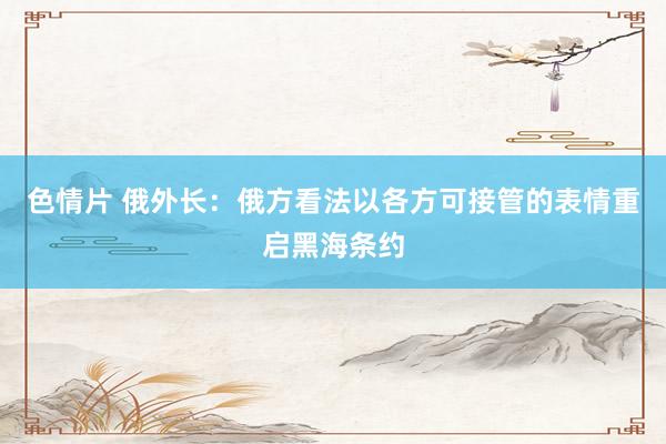 色情片 俄外长：俄方看法以各方可接管的表情重启黑海条约