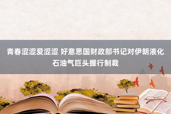 青春涩涩爱涩涩 好意思国财政部书记对伊朗液化石油气巨头握行制裁