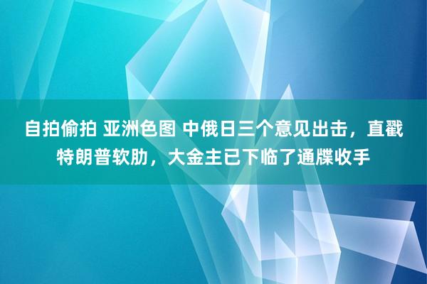 自拍偷拍 亚洲色图 中俄日三个意见出击，直戳特朗普软肋，大金主已下临了通牒收手