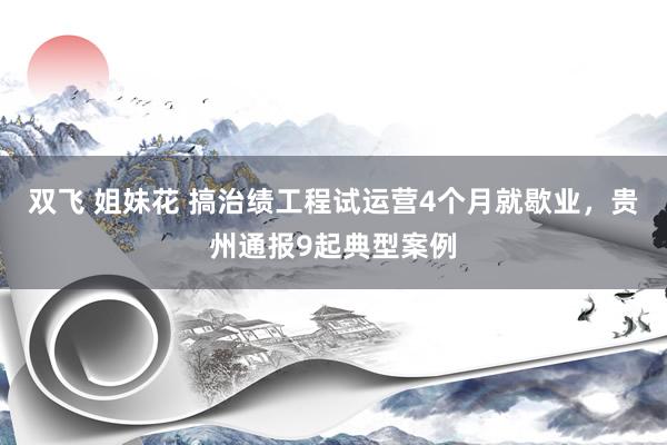 双飞 姐妹花 搞治绩工程试运营4个月就歇业，贵州通报9起典型案例