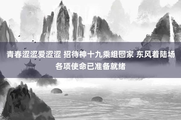 青春涩涩爱涩涩 招待神十九乘组回家 东风着陆场各项使命已准备就绪